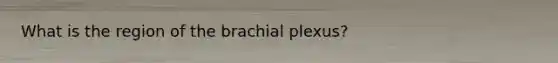 What is the region of the brachial plexus?