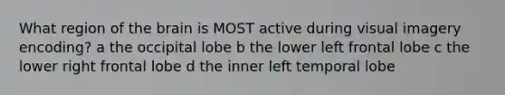 What region of the brain is MOST active during visual imagery encoding? a the occipital lobe b the lower left frontal lobe c the lower right frontal lobe d the inner left temporal lobe