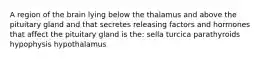 A region of the brain lying below the thalamus and above the pituitary gland and that secretes releasing factors and hormones that affect the pituitary gland is the: sella turcica parathyroids hypophysis hypothalamus