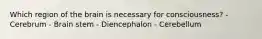 Which region of the brain is necessary for consciousness? - Cerebrum - Brain stem - Diencephalon - Cerebellum