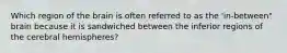 Which region of the brain is often referred to as the 'in-between" brain because it is sandwiched between the inferior regions of the cerebral hemispheres?
