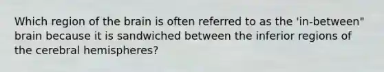 Which region of the brain is often referred to as the 'in-between" brain because it is sandwiched between the inferior regions of the cerebral hemispheres?