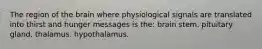 The region of the brain where physiological signals are translated into thirst and hunger messages is the: brain stem. pituitary gland. thalamus. hypothalamus.