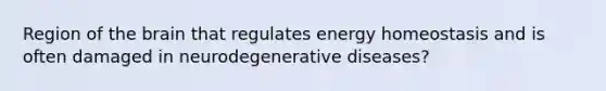 Region of the brain that regulates energy homeostasis and is often damaged in neurodegenerative diseases?