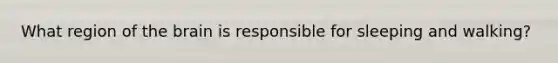 What region of the brain is responsible for sleeping and walking?