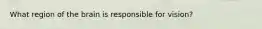 What region of the brain is responsible for vision?