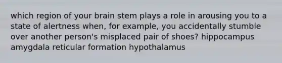 which region of your brain stem plays a role in arousing you to a state of alertness when, for example, you accidentally stumble over another person's misplaced pair of shoes? hippocampus amygdala reticular formation hypothalamus