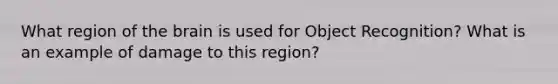 What region of the brain is used for Object Recognition? What is an example of damage to this region?