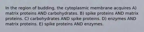 In the region of budding, the cytoplasmic membrane acquires A) matrix proteins AND carbohydrates. B) spike proteins AND matrix proteins. C) carbohydrates AND spike proteins. D) enzymes AND matrix proteins. E) spike proteins AND enzymes.