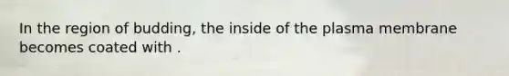 In the region of budding, the inside of the plasma membrane becomes coated with .