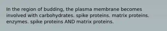 In the region of budding, the plasma membrane becomes involved with carbohydrates. spike proteins. matrix proteins. enzymes. spike proteins AND matrix proteins.