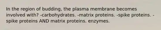 In the region of budding, the plasma membrane becomes involved with? -carbohydrates. -matrix proteins. -spike proteins. -spike proteins AND matrix proteins. enzymes.