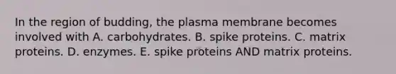 In the region of budding, the plasma membrane becomes involved with A. carbohydrates. B. spike proteins. C. matrix proteins. D. enzymes. E. spike proteins AND matrix proteins.