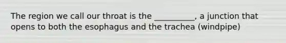 The region we call our throat is the __________, a junction that opens to both the esophagus and the trachea (windpipe)