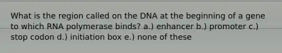 What is the region called on the DNA at the beginning of a gene to which RNA polymerase binds? a.) enhancer b.) promoter c.) stop codon d.) initiation box e.) none of these