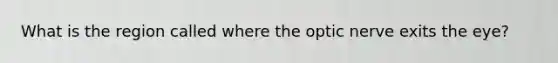 What is the region called where the optic nerve exits the eye?