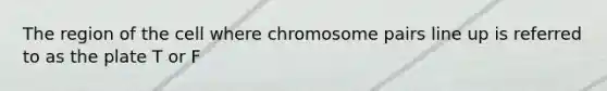 The region of the cell where chromosome pairs line up is referred to as the plate T or F