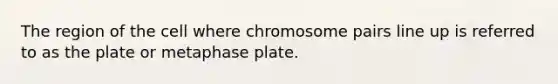 The region of the cell where chromosome pairs line up is referred to as the plate or metaphase plate.