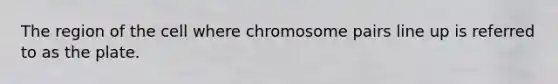 The region of the cell where chromosome pairs line up is referred to as the plate.