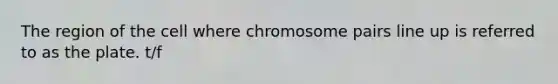 The region of the cell where chromosome pairs line up is referred to as the plate. t/f