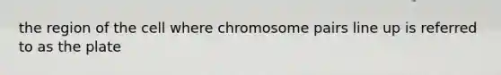 the region of the cell where chromosome pairs line up is referred to as the plate