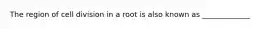 The region of cell division in a root is also known as _____________