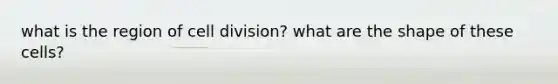 what is the region of <a href='https://www.questionai.com/knowledge/kjHVAH8Me4-cell-division' class='anchor-knowledge'>cell division</a>? what are the shape of these cells?