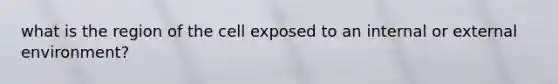 what is the region of the cell exposed to an internal or external environment?