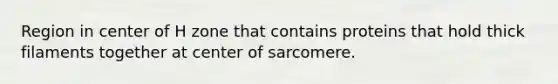 Region in center of H zone that contains proteins that hold thick filaments together at center of sarcomere.