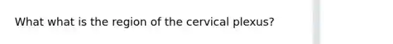 What what is the region of the cervical plexus?