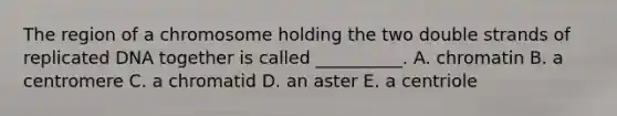 The region of a chromosome holding the two double strands of replicated DNA together is called __________. A. chromatin B. a centromere C. a chromatid D. an aster E. a centriole