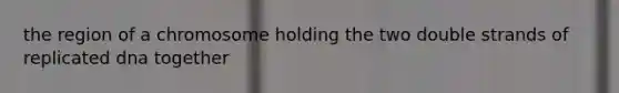 the region of a chromosome holding the two double strands of replicated dna together