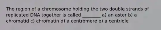 The region of a chromosome holding the two double strands of replicated DNA together is called ________ a) an aster b) a chromatid c) chromatin d) a centromere e) a centriole