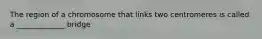 The region of a chromosome that links two centromeres is called a _____________ bridge