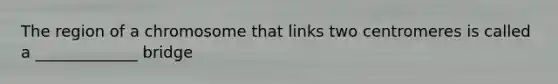 The region of a chromosome that links two centromeres is called a _____________ bridge