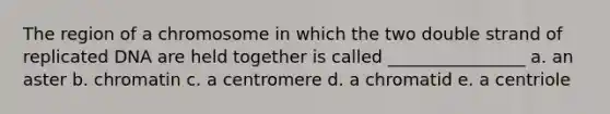 The region of a chromosome in which the two double strand of replicated DNA are held together is called ________________ a. an aster b. chromatin c. a centromere d. a chromatid e. a centriole