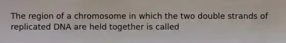 The region of a chromosome in which the two double strands of replicated DNA are held together is called