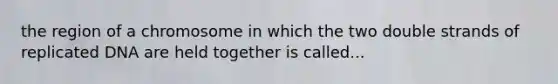 the region of a chromosome in which the two double strands of replicated DNA are held together is called...