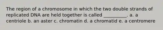 The region of a chromosome in which the two double strands of replicated DNA are held together is called __________. a. a centriole b. an aster c. chromatin d. a chromatid e. a centromere