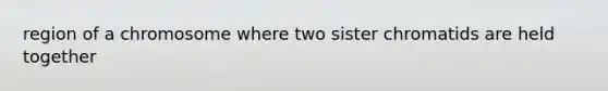 region of a chromosome where two sister chromatids are held together