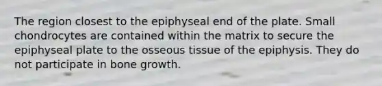 The region closest to the epiphyseal end of the plate. Small chondrocytes are contained within the matrix to secure the epiphyseal plate to the osseous tissue of the epiphysis. They do not participate in bone growth.