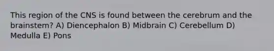 This region of the CNS is found between the cerebrum and <a href='https://www.questionai.com/knowledge/kLMtJeqKp6-the-brain' class='anchor-knowledge'>the brain</a>stem? A) Diencephalon B) Midbrain C) Cerebellum D) Medulla E) Pons