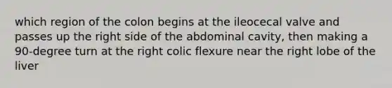 which region of the colon begins at the ileocecal valve and passes up the right side of the abdominal cavity, then making a 90-degree turn at the right colic flexure near the right lobe of the liver