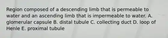 Region composed of a descending limb that is permeable to water and an ascending limb that is impermeable to water. A. glomerular capsule B. distal tubule C. collecting duct D. loop of Henle E. proximal tubule