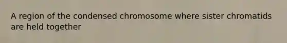 A region of the condensed chromosome where sister chromatids are held together