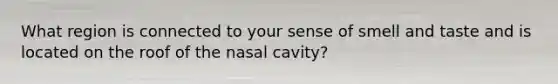 What region is connected to your sense of smell and taste and is located on the roof of the nasal cavity?