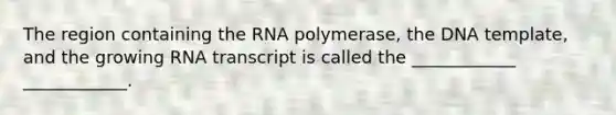 The region containing the RNA polymerase, the DNA template, and the growing RNA transcript is called the ____________ ____________.