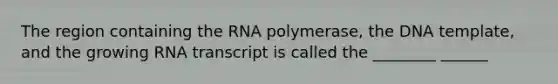 The region containing the RNA polymerase, the DNA template, and the growing RNA transcript is called the ________ ______