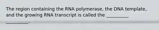 The region containing the RNA polymerase, the DNA template, and the growing RNA transcript is called the __________ __________.