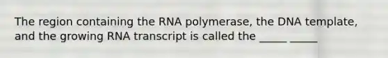 The region containing the RNA polymerase, the DNA template, and the growing RNA transcript is called the _____ _____